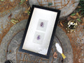 Amethyst Crystal Cluster Shadow Box Wall Art - Handcrafted Natural Gemstone Decor