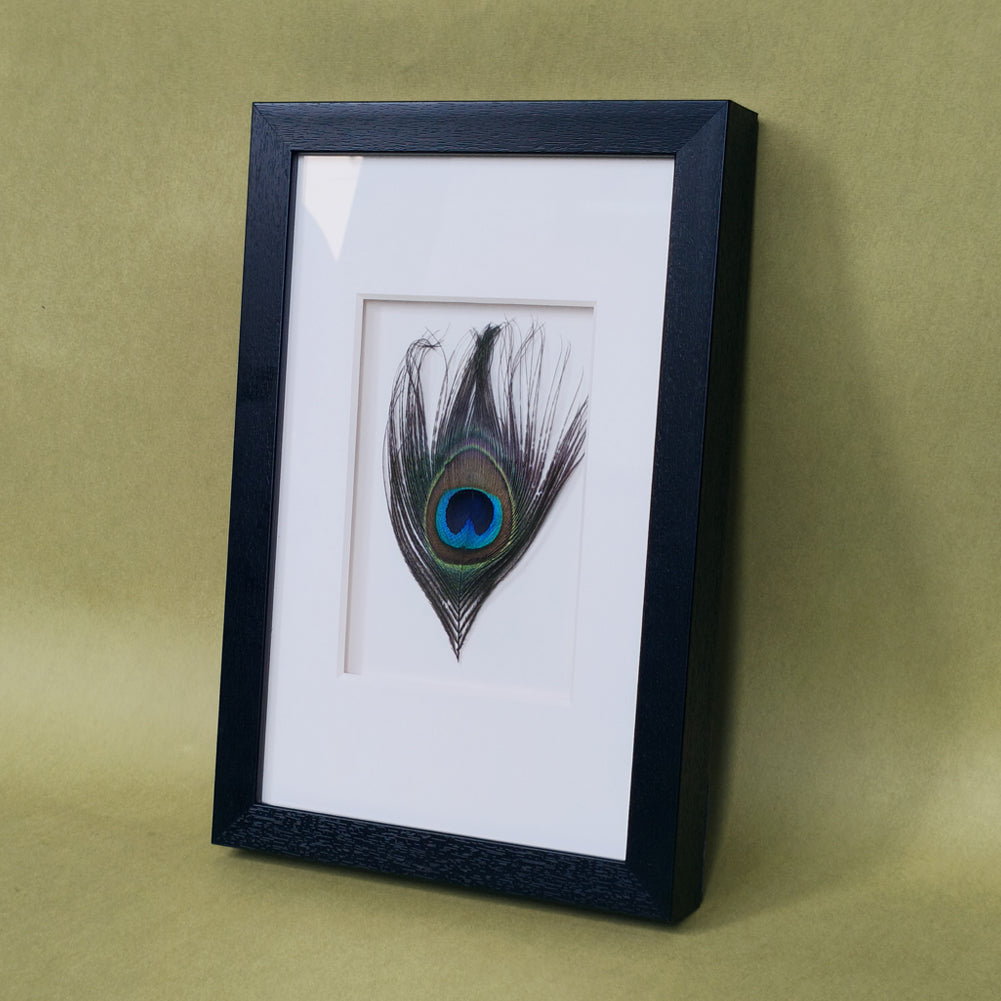Peacock Feather Shadow Box Wall Art - Handcrafted Luxury Decor