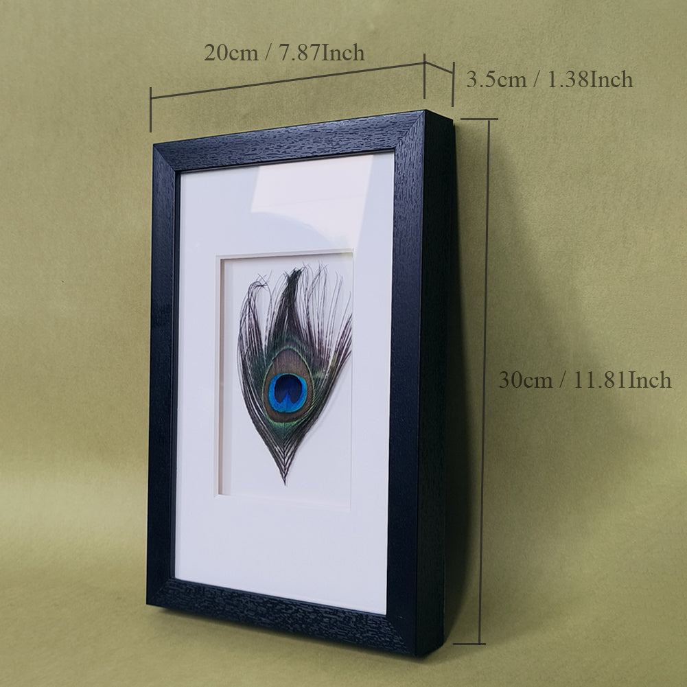 Peacock Feather Shadow Box Wall Art - Handcrafted Luxury Decor