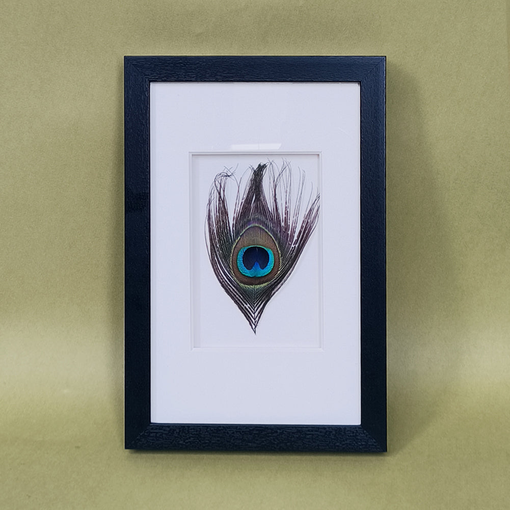 Peacock Feather Shadow Box Wall Art - Handcrafted Luxury Decor